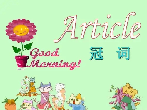 中考英语冠词复习