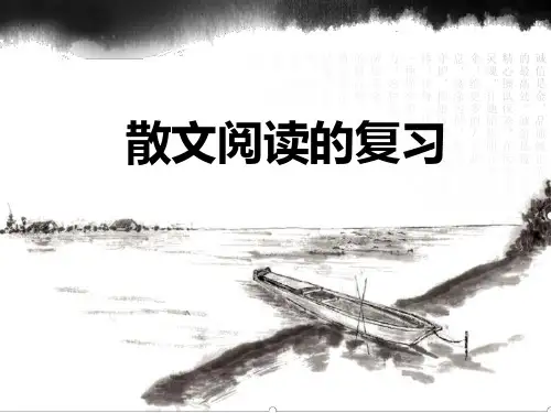 高考语文散文阅读精品课件 PPT