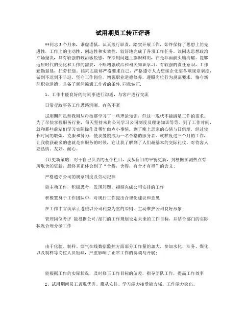试用期员工转正评语