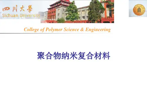 聚合物纳米复合材料