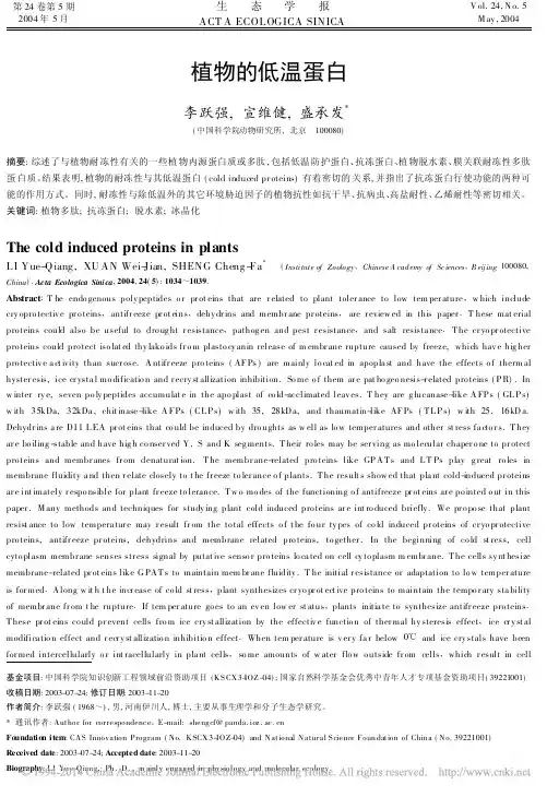 植物的低温蛋白_李跃强
