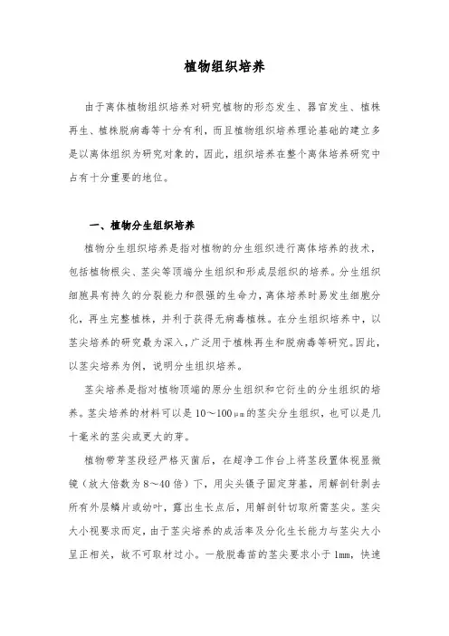 植物组织培养 2