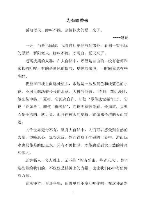 《为有暗香来》暑期作文