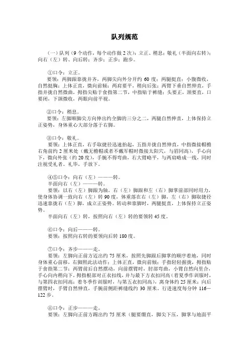 队列规范(含交通指挥手势)