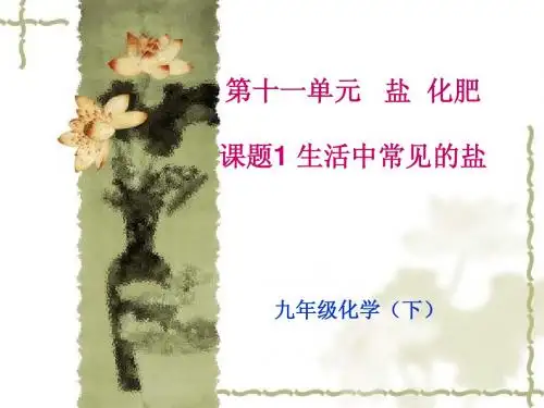 生活中常见的盐课件好