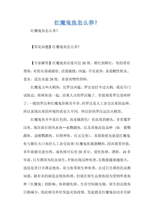 红魔鬼鱼怎么养？