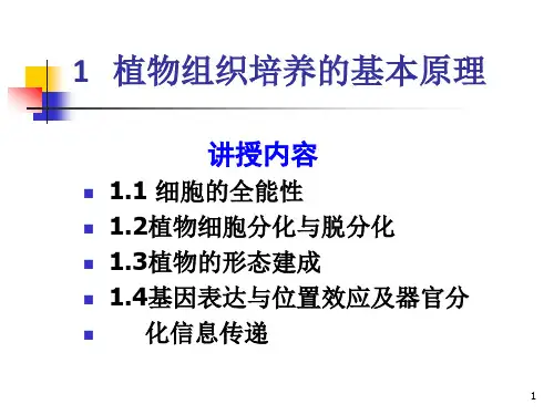 植物组织培养的基本原理ppt课件