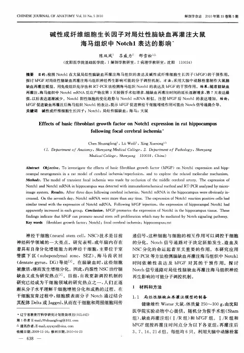 碱性成纤维细胞生长因子对局灶性脑缺血再灌注大鼠海马组织中Notch1表达的影响