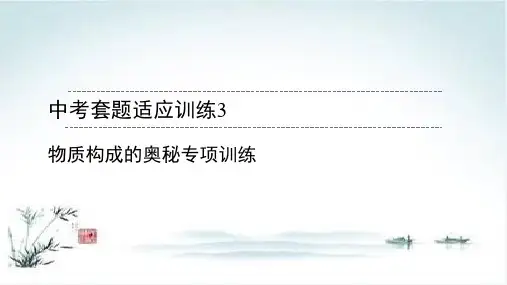 2020广东中考化学总复习课件 中考套题适应训练12套 5【精品课件】