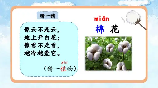 部编版一年级下册语文课文19 棉花姑娘精品课件