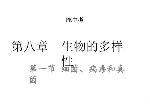 2017年中考生物复习课件：8.第一节 细菌、病毒和真菌