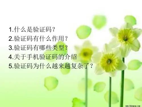 验证码
