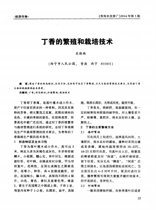 丁香的繁殖和栽培技术