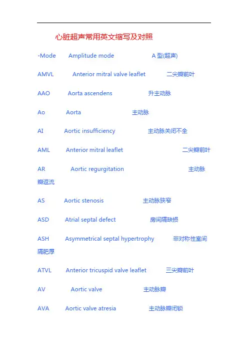 心脏超声常用英文缩写附对照