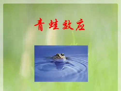 青蛙效应初稿(个人制作加强版)