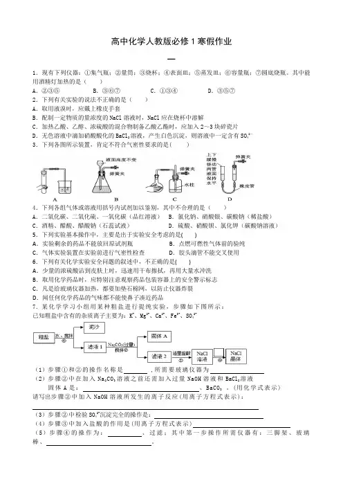 高中化学人教版必修1寒假作业(有答案)