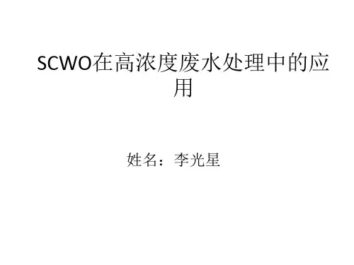 超临界水工艺及反应器的研究