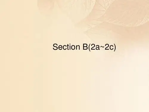 七年级英语下册Unit6I'mwatchingTVSectionB2a_2c课件新版人教新目标版