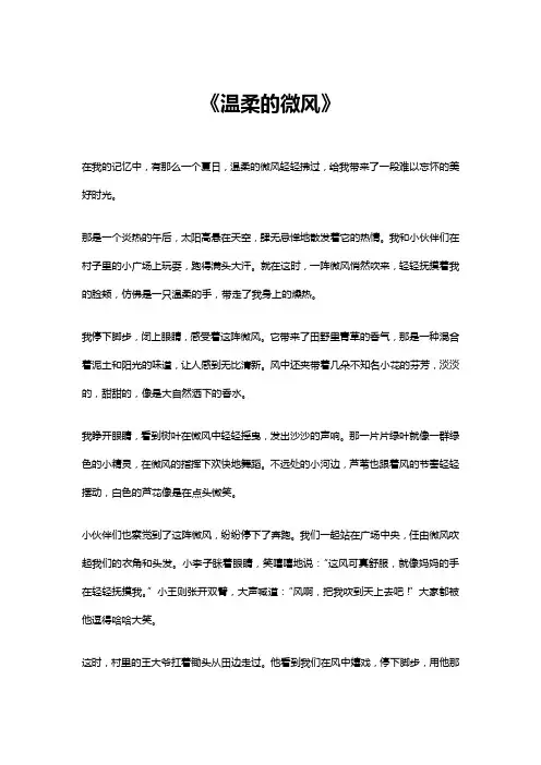 温柔的微风作文