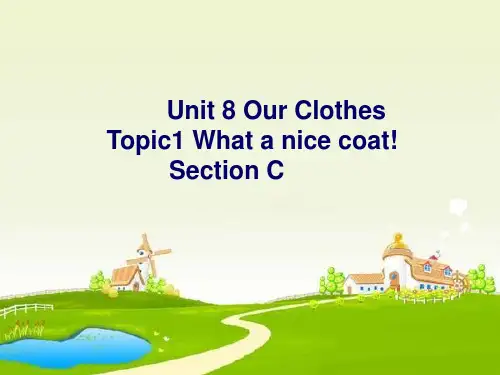 八年级仁爱英语unit8 topic1 sectionC课件