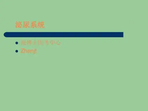 泌尿系统教学PPT课件