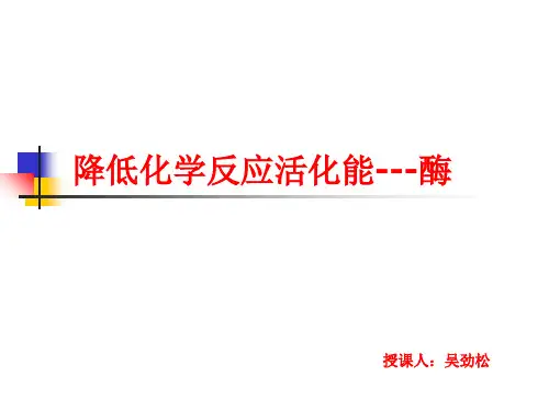 降低化学反应活化能酶(公开课)精品PPT课件