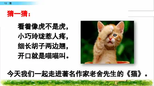 部编版四年级语文下册第四单元第13课《猫》PPT