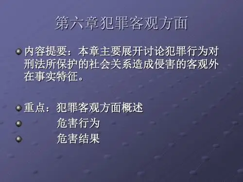 第六章犯罪客观方面.