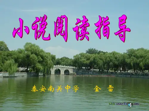 中考小说阅读复习课件