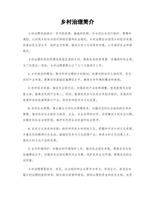 乡村治理简介 3