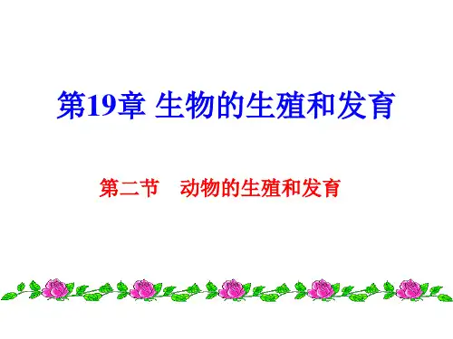 动物的生殖和发育