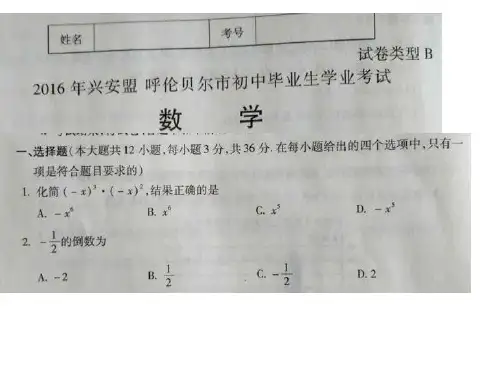 2016呼伦贝尔市兴安盟中考数学试题