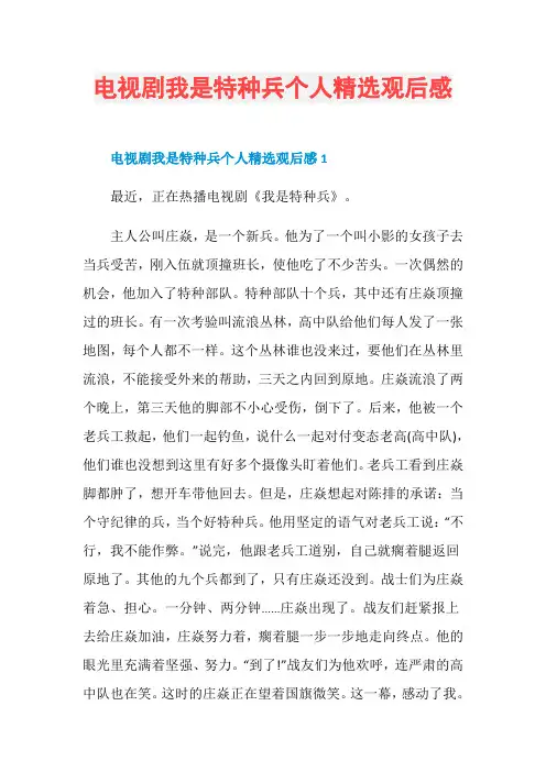 电视剧我是特种兵个人精选观后感