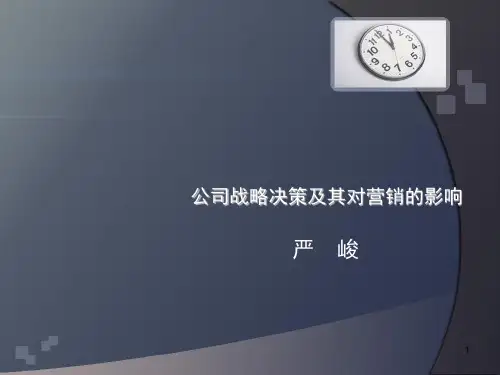 第二章企业战略对营销战略的影响-2010-48