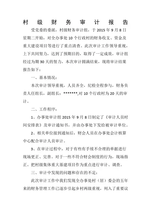 村级财务审计报告 (1)