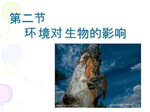 初中生物环境对生物的影响教学课件