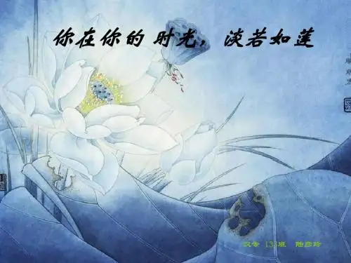 关于林徽因
