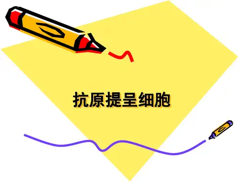 免疫学7-抗原提呈细胞