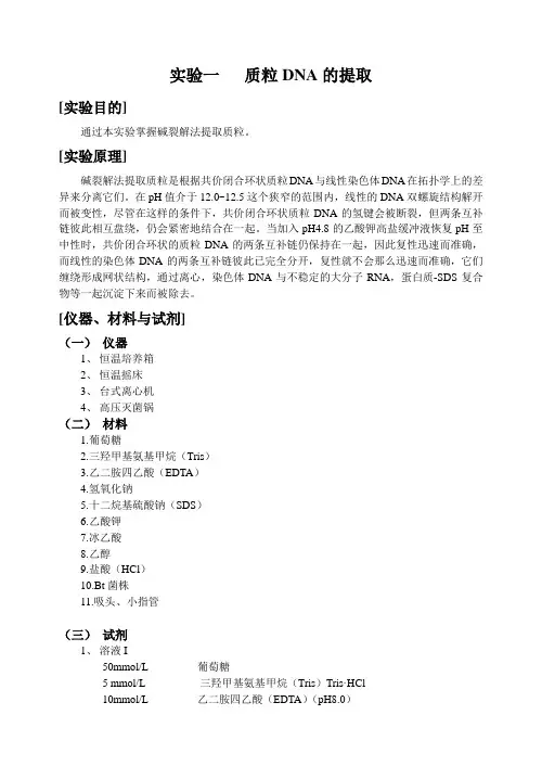 质粒DNA的提取
