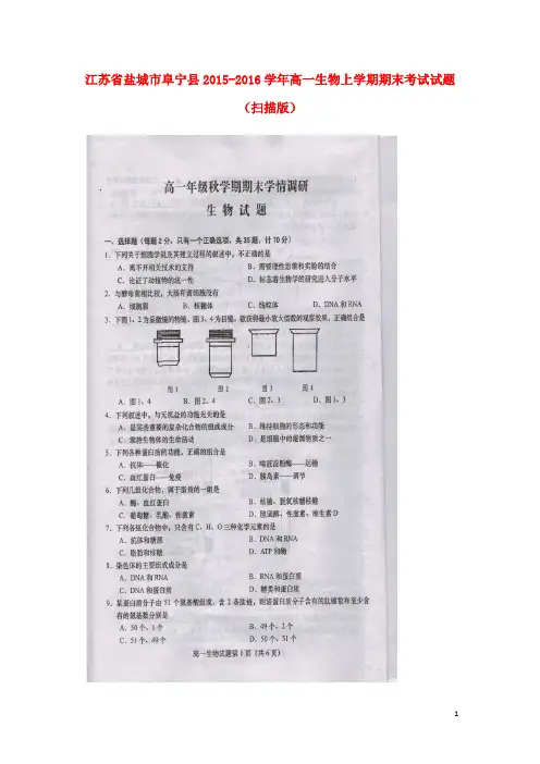 江苏省盐城市阜宁县高一生物上学期期末考试试题(扫描