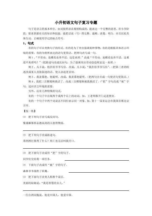 小升初语文句子复习专题