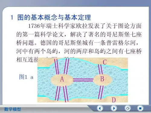 图论(简化)