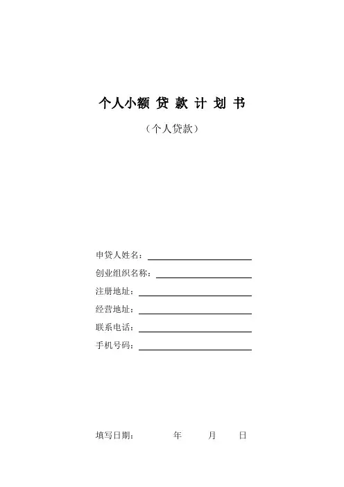 个人小额贷款计划书