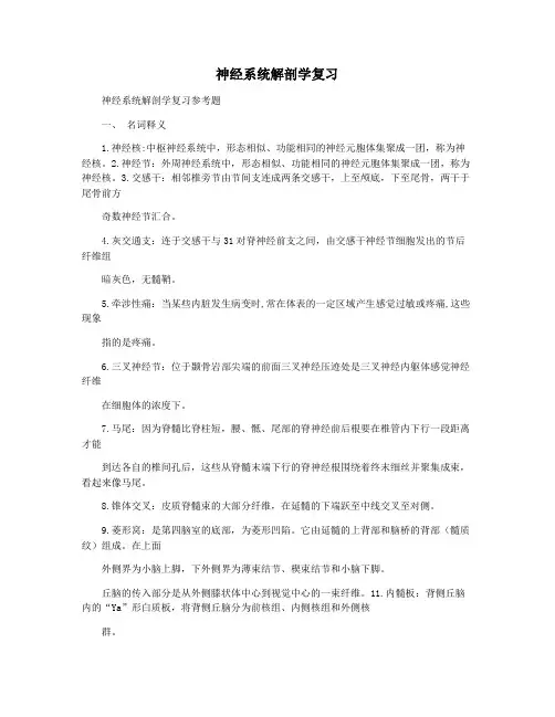 神经系统解剖学复习
