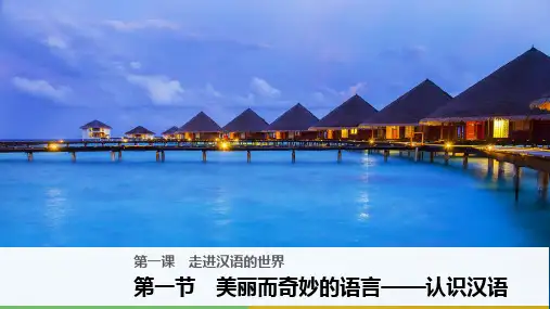 高中语文课件第一课 第一节 美丽而奇妙的语言——认识汉语 