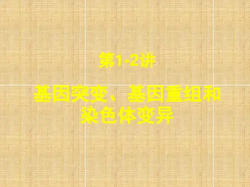 高考生物第一轮复习第讲基因突变、基因重组和染色体变异课件新人教版必修