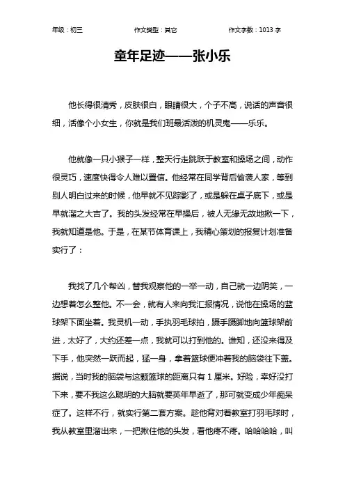 童年足迹——张小乐作文【初中初三1000字】
