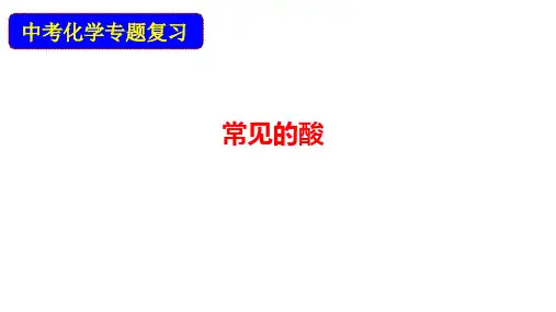2020中考化学专题复习：常见的酸PPT下载