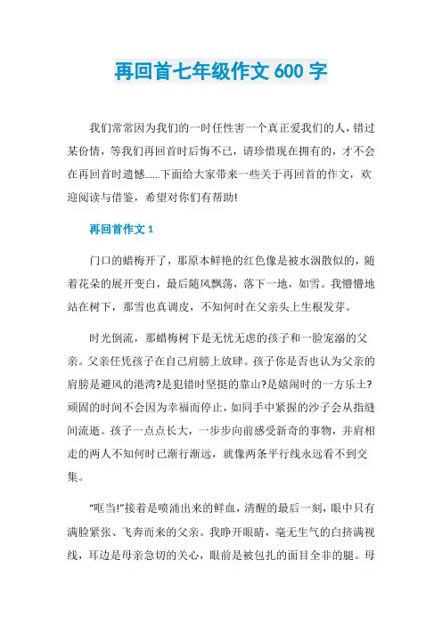再回首七年级作文600字