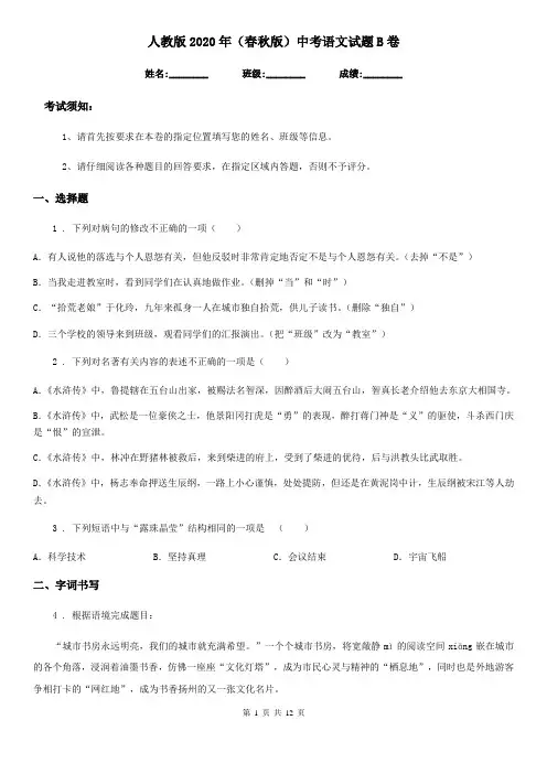 人教版2020年(春秋版)中考语文试题B卷(检测)